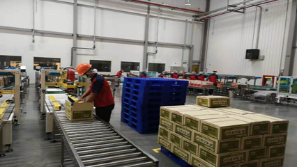 零食出海升級(jí)新篇章 洽洽5億元海外建廠與電商平臺(tái)服務(wù)的雙重驅(qū)動(dòng)